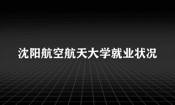 沈阳航空航天大学就业状况
