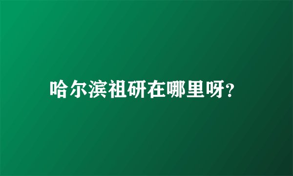 哈尔滨祖研在哪里呀？