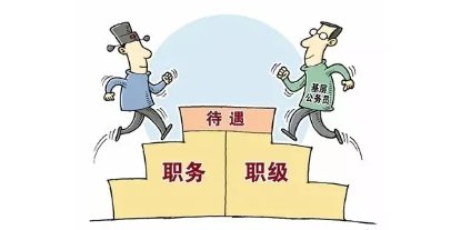 职务和职级怎么区分呢?