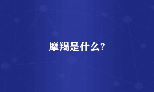 摩羯是什么?