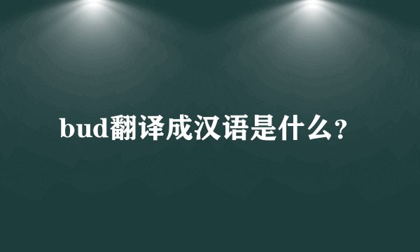 bud翻译成汉语是什么？