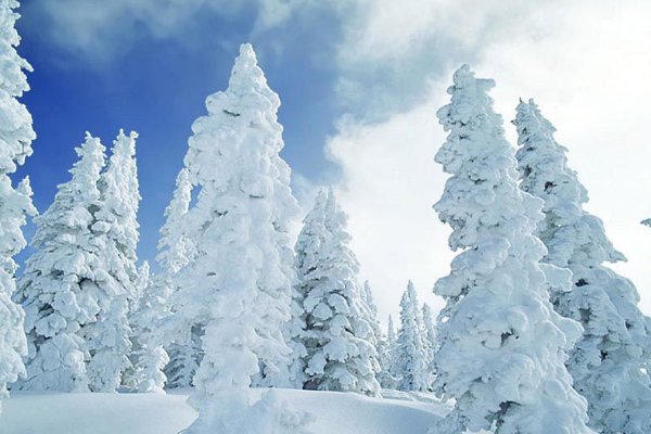 雪的形成是什么物态变化？是凝华还是凝固？