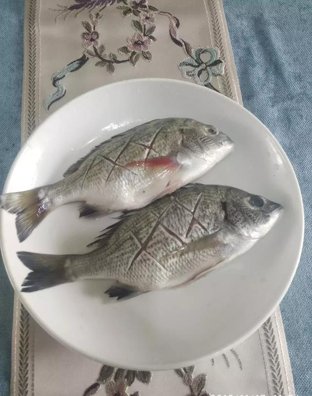 海边农民捕到的黑鲷鱼和黄鲷鱼为什么价格相差那么大,两者有什么差别吗?