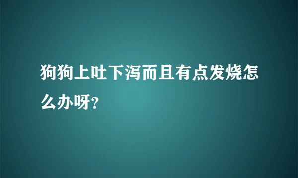 狗狗上吐下泻而且有点发烧怎么办呀?