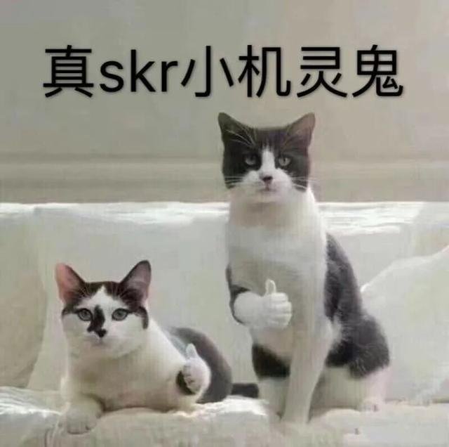 skr到底是个啥意思