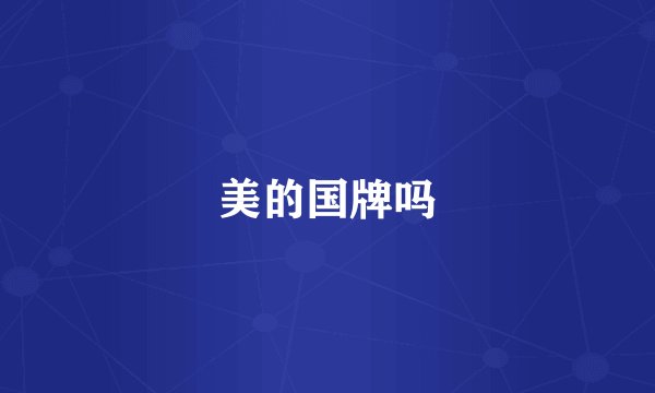 美的国牌吗