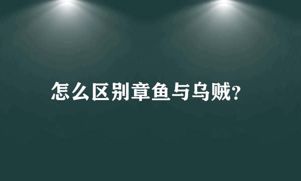 怎么区别章鱼与乌贼？