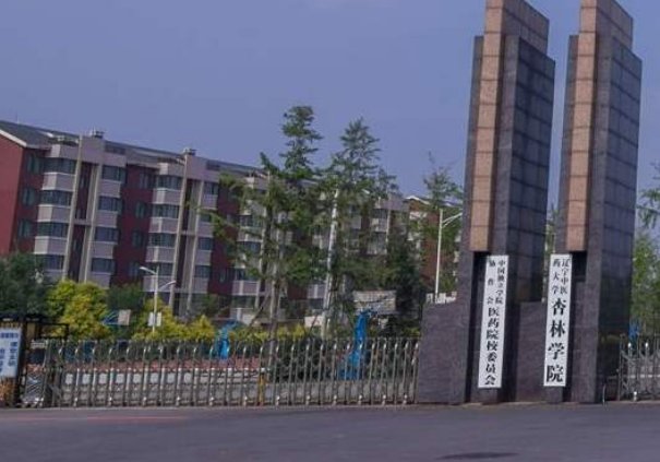辽宁中医药大学杏林学院怎么样