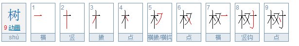 树字的笔顺有几个