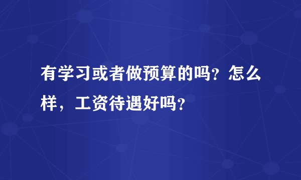 有学习或者做预算的吗？怎么样，工资待遇好吗？