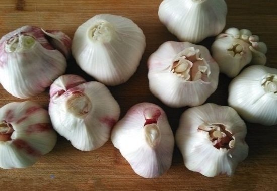 糖蒜 的腌制方法比例是多少？ 10斤大蒜用多少糖和醋和盐？