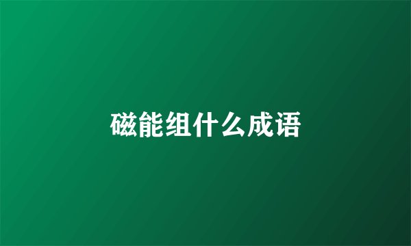 磁能组什么成语