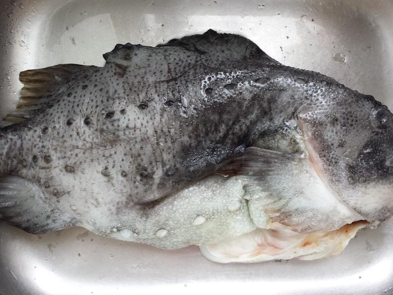 海参斑鱼可以常吃吗?