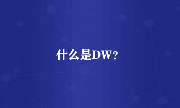 什么是DW？