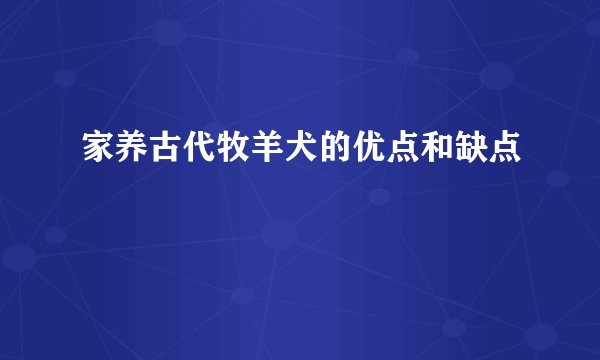家养古代牧羊犬的优点和缺点
