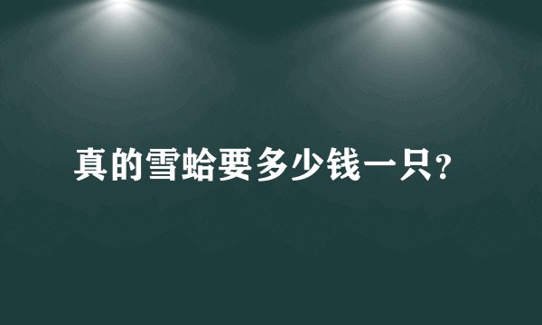 真的雪蛤要多少钱一只？