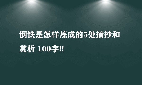 钢铁是怎样炼成的5处摘抄和赏析 100字!!