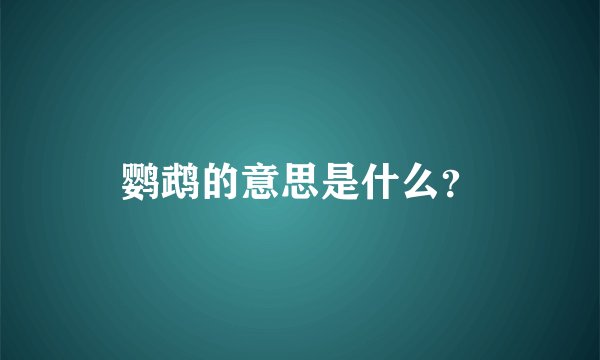 鹦鹉的意思是什么？