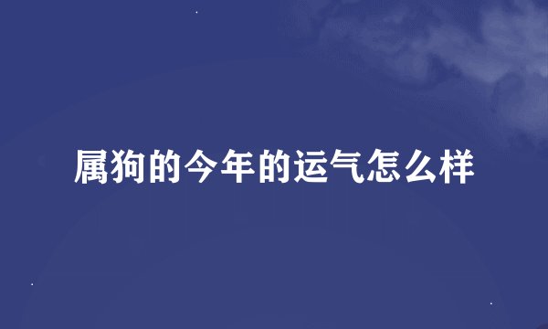 属狗的今年的运气怎么样