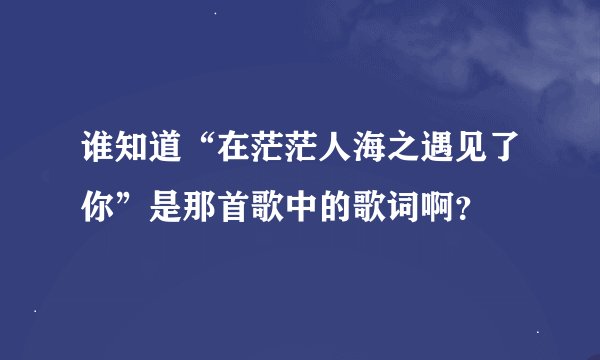谁知道“在茫茫人海之遇见了你”是那首歌中的歌词啊？
