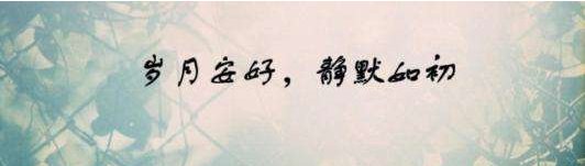 岁月安好静默如初什么意思