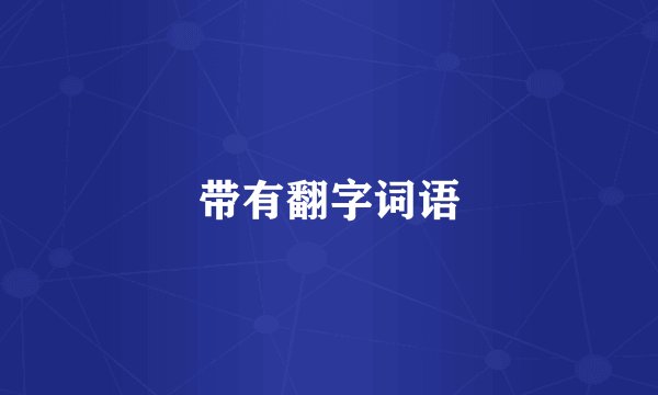 带有翻字词语