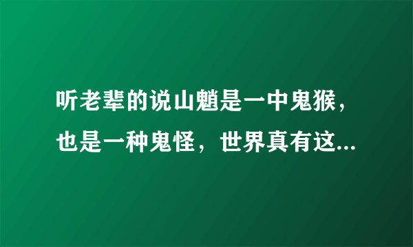 听老辈的说山魈是一中鬼猴，也是一种鬼怪，世界真有这种这种鬼猴么？