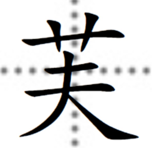 芙蓉是个什么词