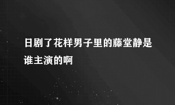 日剧了花样男子里的藤堂静是谁主演的啊