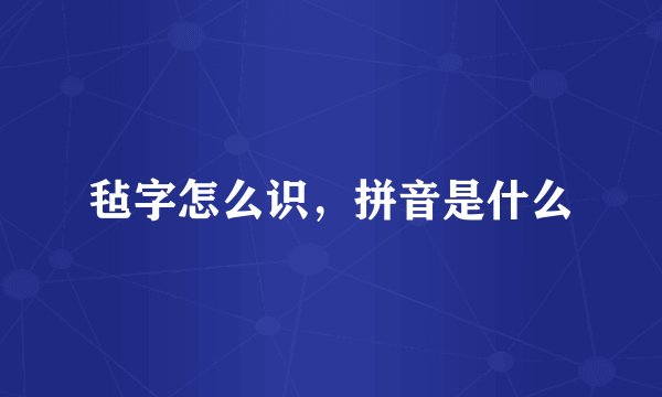 毡字怎么识，拼音是什么