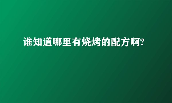 谁知道哪里有烧烤的配方啊?