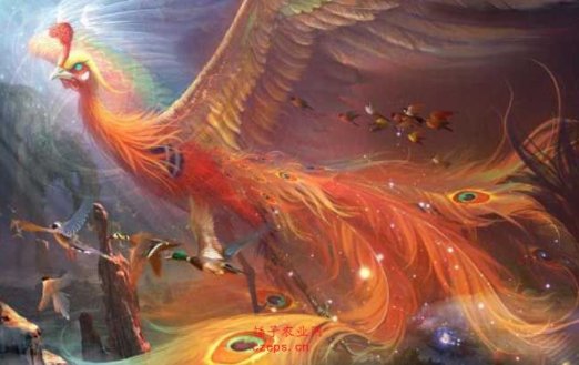 除了凤凰以外，上古六大神鸟还有什么，排第一的是什么？