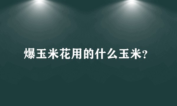 爆玉米花用的什么玉米？