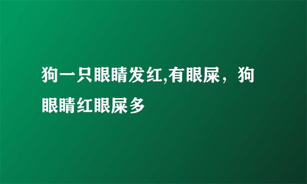 狗一只眼睛发红,有眼屎，狗眼睛红眼屎多