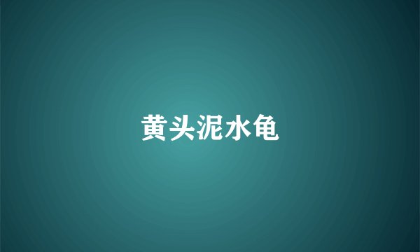 黄头泥水龟