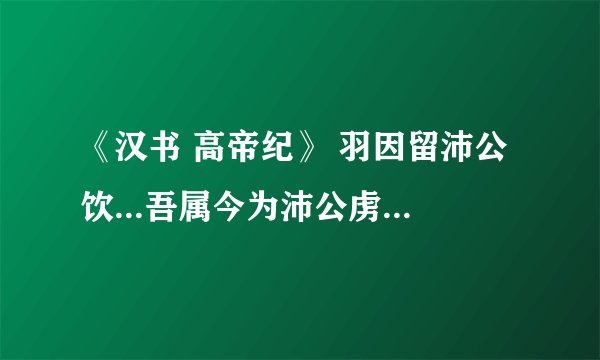 《汉书 高帝纪》 羽因留沛公饮...吾属今为沛公虏矣的译文