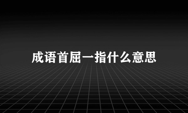 成语首屈一指什么意思