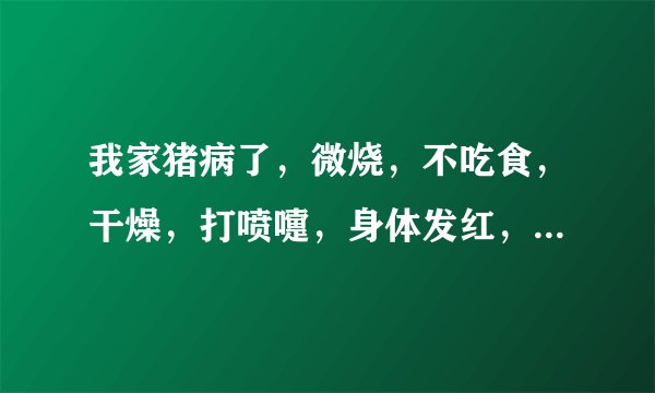 我家猪病了，微烧，不吃食，干燥，打喷嚏，身体发红，请帮诊断是什么病，怎么治疗？