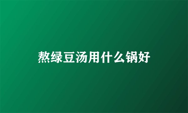 熬绿豆汤用什么锅好