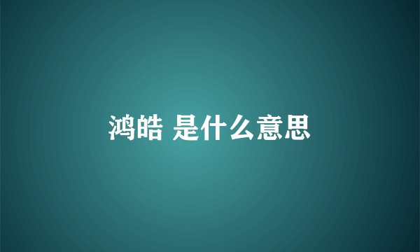 鸿皓 是什么意思