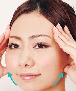 腮骨的介绍