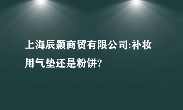 上海辰颢商贸有限公司:补妆用气垫还是粉饼?