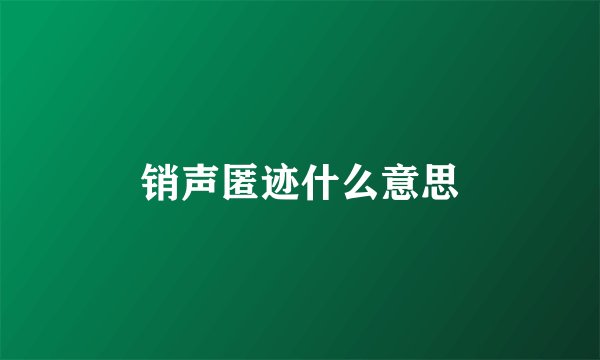 销声匿迹什么意思