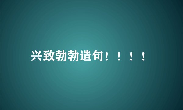 兴致勃勃造句！！！！