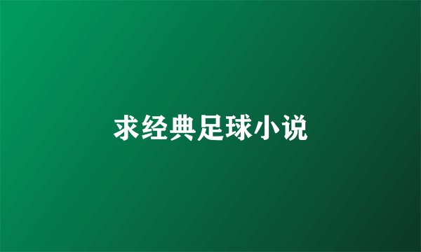 求经典足球小说