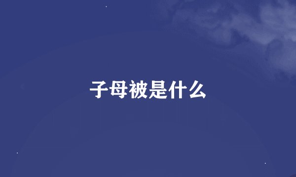 子母被是什么