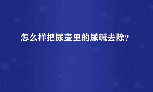 怎么样把尿壶里的尿碱去除？