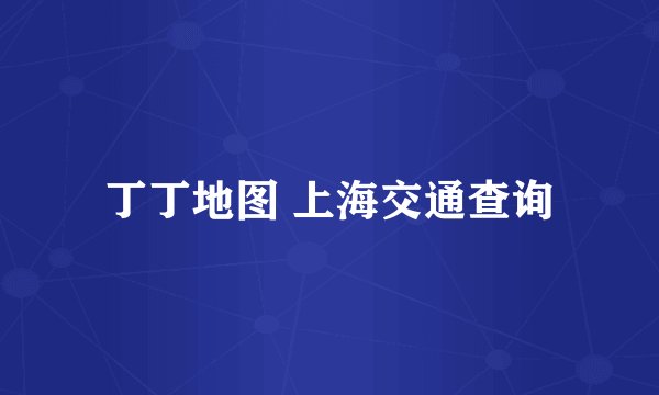 丁丁地图 上海交通查询