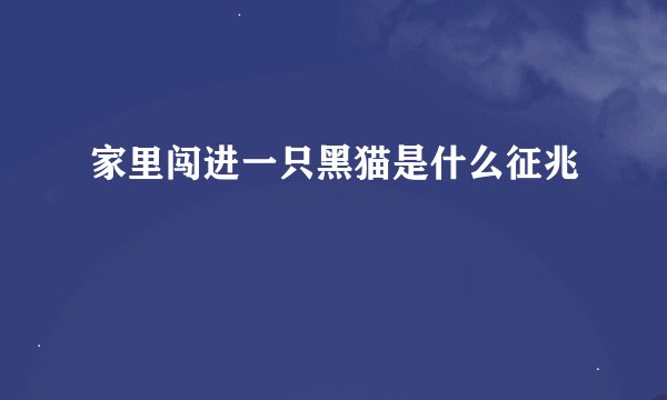家里闯进一只黑猫是什么征兆