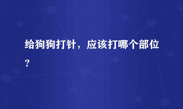 给狗狗打针,应该打哪个部位?